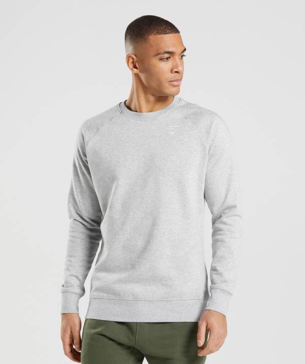 Panske Mikiny Gymshark Crest Svetlo Siva | GL8726013